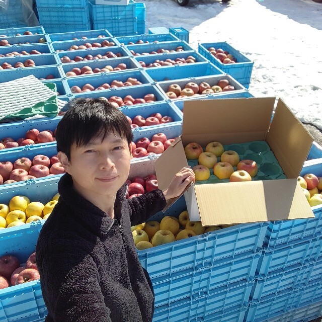 信州産　選べる家庭用 リンゴ約5キロ 食品/飲料/酒の食品(フルーツ)の商品写真