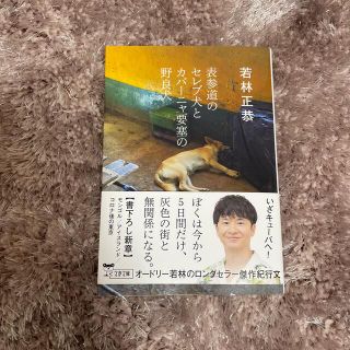 表参道のセレブ犬とカバーニャ要塞の野良犬(その他)