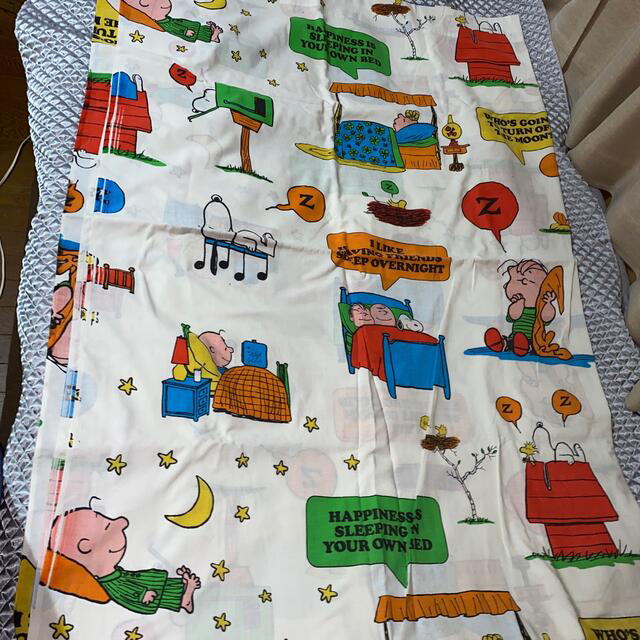 かめちゃん様 専用 - www.licu.org