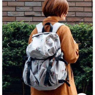 限定 クーポン10% ☆新品☆スーパーハッカ リュック 9900→8980