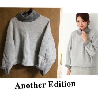 アナザーエディション(ANOTHER EDITION)のAnother Edition＊ウールコットンタートルプルオーバー(ニット/セーター)