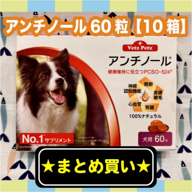 アンチノール　犬用　60粒　10箱