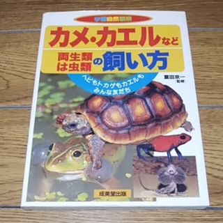 デザイン看板】ギネスビール 亀y☆1000種類☆れんと☆ミドリガメ