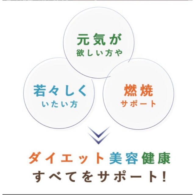 しじみエキス 3ヶ月分 しじみ習慣の代用に 食品/飲料/酒の健康食品(その他)の商品写真