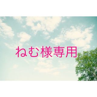 ねむ様専用(その他)