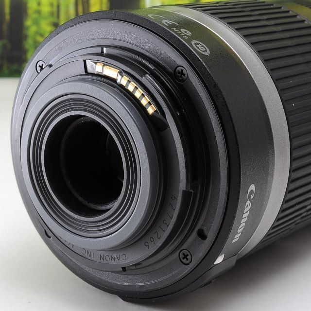 キヤノン Kiss X2☆スマホ転送OK☆入門一眼レフ♪2402