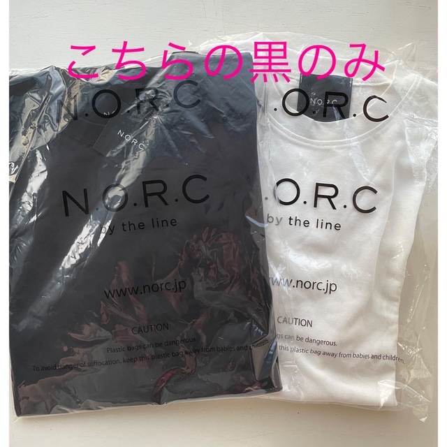 N.O.R.C ノーク シルバー ドロップピアス (未使用ビッグTシャツ付) 7