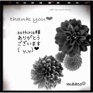 アンティカ(antiqua)のsothiris様ご専用になります。ありがとうございます(♡ᴗ͈ˬᴗ͈)⁾⁾⁾(シャツ/ブラウス(長袖/七分))