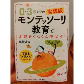 ０～３歳までの実践版モンテッソーリ教育で才能をぐんぐん伸ばす！ 写真とイラストで(結婚/出産/子育て)