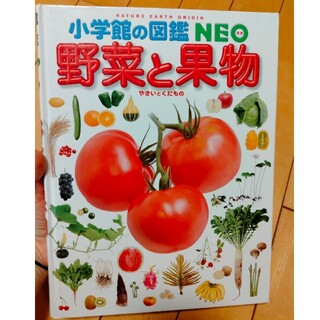 小学館　野菜と果物(絵本/児童書)