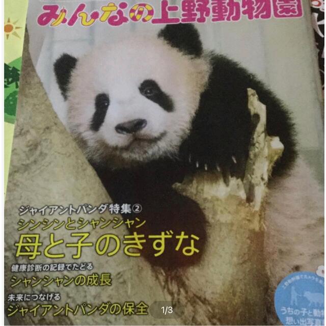 上野動物園　雑誌　シャンシャン エンタメ/ホビーの雑誌(ニュース/総合)の商品写真