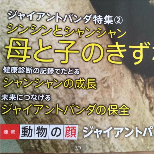上野動物園　雑誌　シャンシャン エンタメ/ホビーの雑誌(ニュース/総合)の商品写真