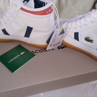 ラコステ(LACOSTE)のLACOSTEハイカットタウンスニーカー23.5センチ(スニーカー)