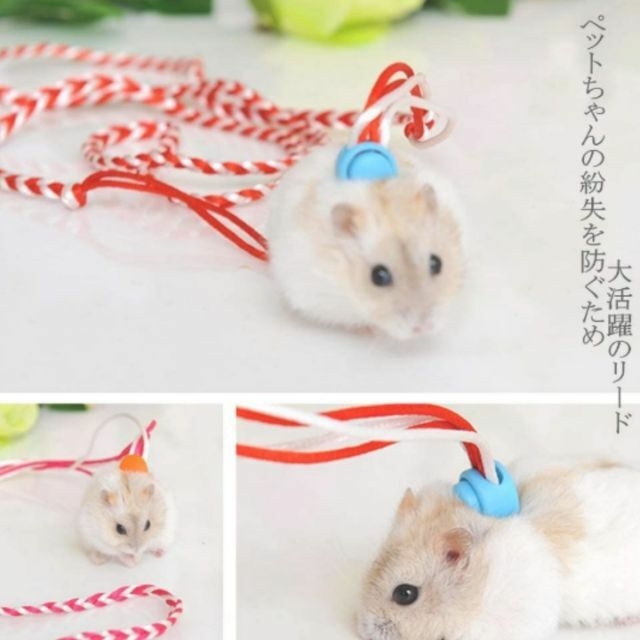小動物ハーネス リード 小型ペット ハムスター 散歩 お出かけ 調節可能の通販 by オリジナルインポート shop|ラクマ 小動物ハーネス リード 小型ペット ハムスター 散歩 お出かけ 調節可能の通販 by オリジナルインポート shop|ラクマ