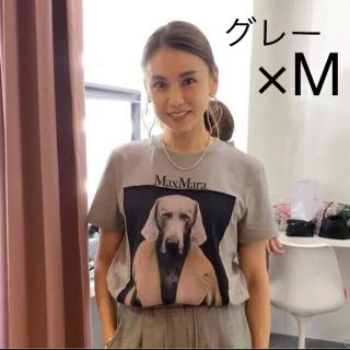 滝沢眞規子着用 MAXMARA DOGSTAR Tシャツ 滝沢眞規子着用 MAXMARA DOGSTAR Tシャツ