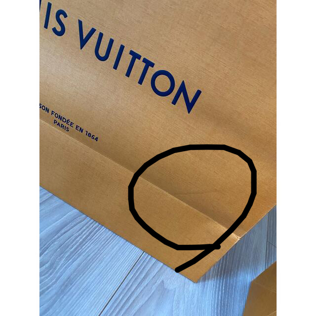 LOUIS VUITTON(ルイヴィトン)の鯖様専用/LOUIS VUITTON紙袋4点 レディースのバッグ(ショップ袋)の商品写真