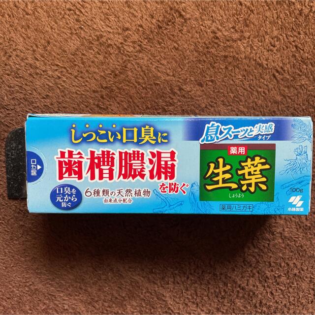 小林製薬(コバヤシセイヤク)の小林製薬 生葉 息スーッと実感タイプ 100g 1本 コスメ/美容のオーラルケア(歯磨き粉)の商品写真