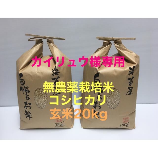 カイリュウ様専用 無農薬コシヒカリ玄米20kg(5kg×4)令和3年 徳島県産のサムネイル