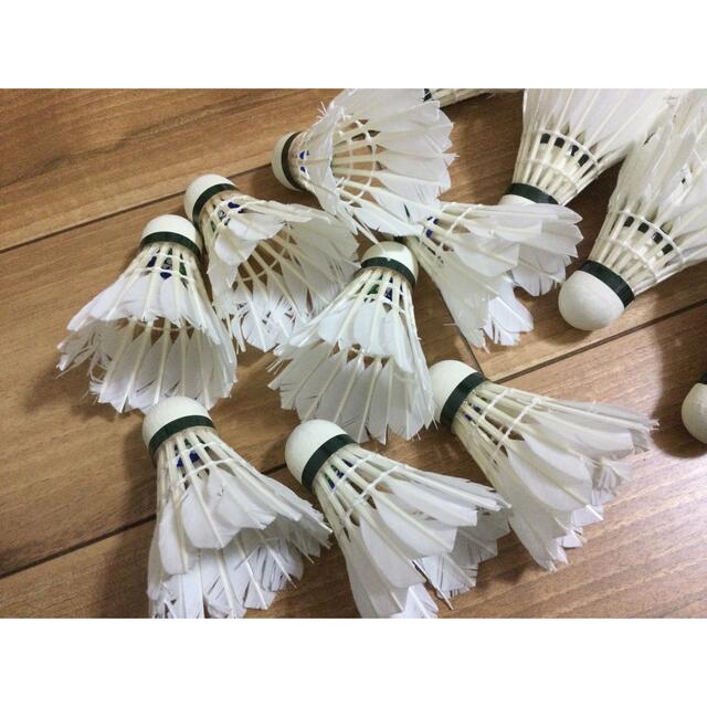ヨネックス バドミントンシャトル 100球 | gulatilaw.com