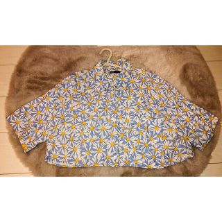 ザラ(ZARA)のZARA blue flowers shirt(シャツ/ブラウス(長袖/七分))