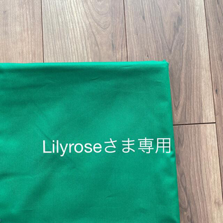 Lilyroseさま専用(バッグ)