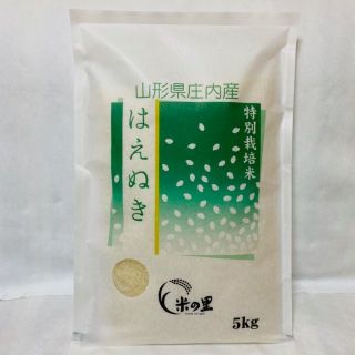 広い平野で育てたおいしいお米！山形県産特別栽培米はえぬき（白米）５ｋｇ(米/穀物)