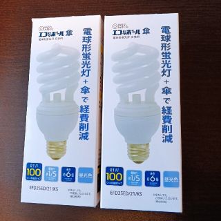 電球型蛍光灯 エコなボール 2セット 100W E26 EFD25ED 昼光色(蛍光灯/電球)