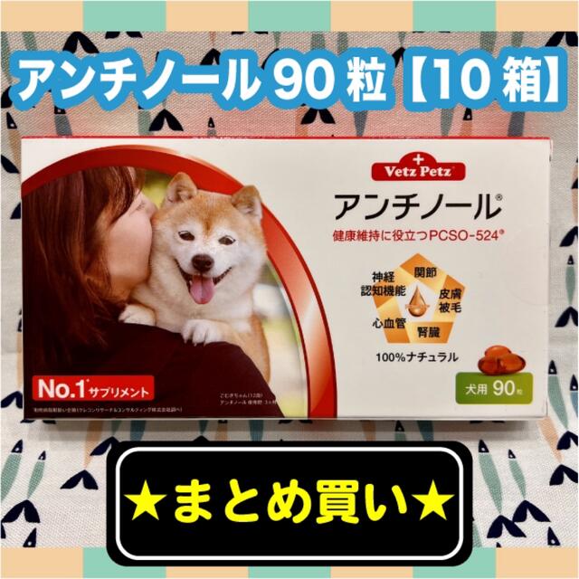 アンチノール　犬用　90粒　10箱〈おまけ付き〉