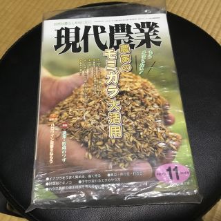 オレちゃん様専用　　　　現代農業 2018年 8〜11月号のうちの一冊　11月号(専門誌)