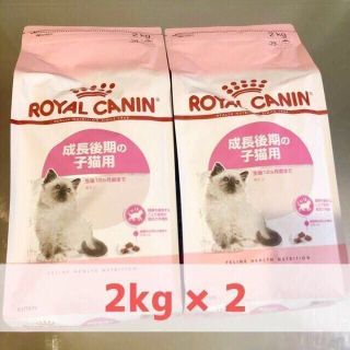 ロイヤルカナン(ROYAL CANIN)のロイヤルカナン キトン ROYAL CANIN 2kg×2袋セット 新品未開封(ペットフード)