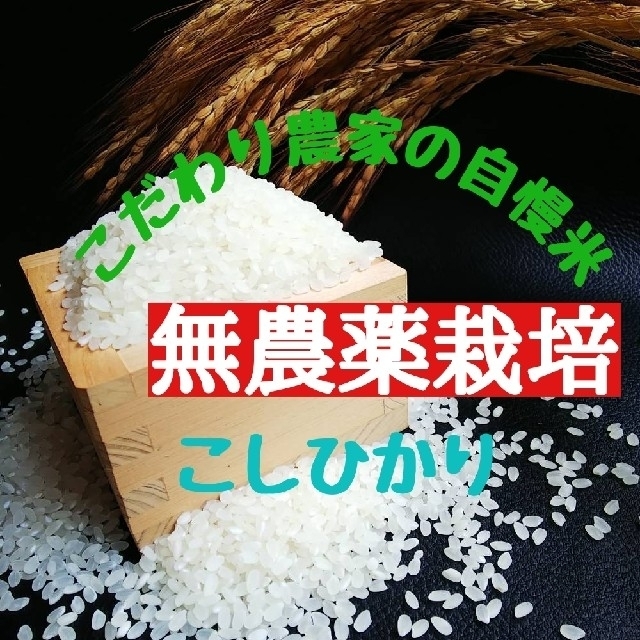 米/穀物　買い大人気　令和3年産　白米30㎏(無農薬栽培)　こだわり農家の自慢米　LITTLEHEROESDENTISTRY