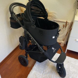 エアバギー(AIRBUGGY)のmiyabi 様専用(犬)