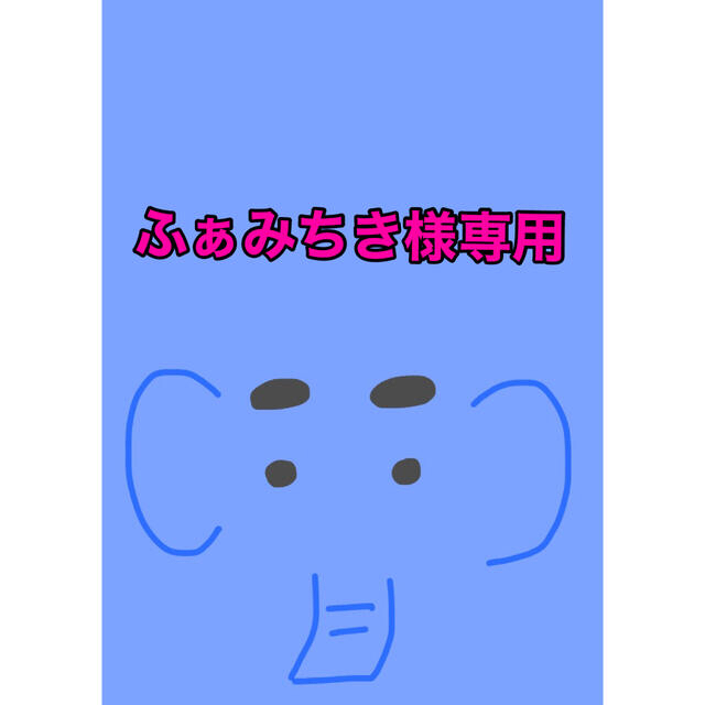 豪華ラッピング無料 ななちき様専用 lepiceriedeshalles.coop