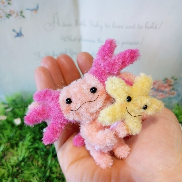 決まりました!ウーパールーパーのウパたんと相棒ヒトデくん付〜*hana 決まりました!ウーパールーパーのウパたんと相棒ヒトデくん付〜*hana