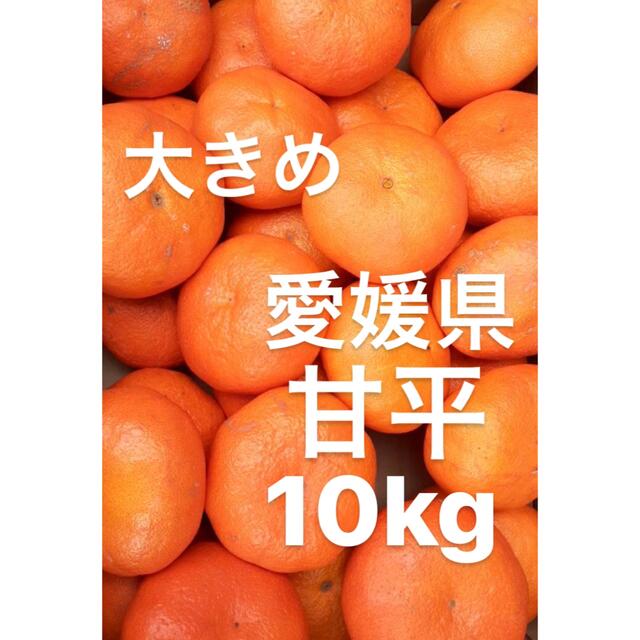 食品/飲料/酒愛媛県産　甘平　柑橘　みかん　10kg