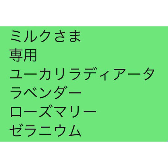 ミルクさま 専用 ユーカリラディアータ ラベンダー ローズマリー ゼラニウム
