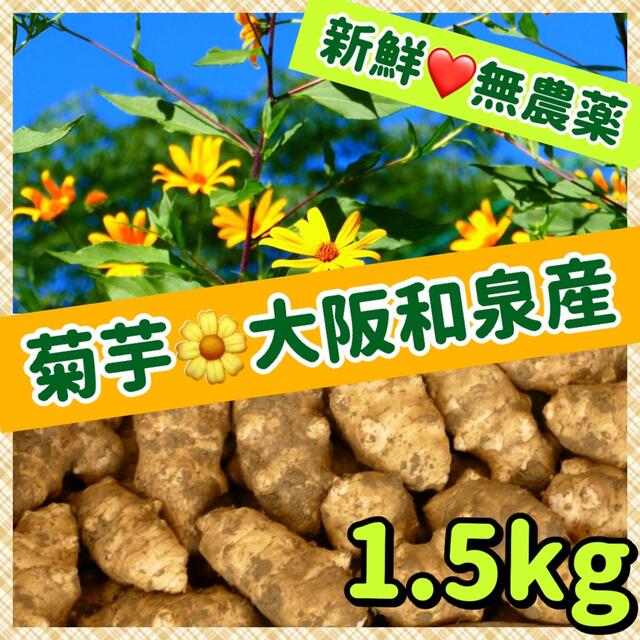 ❤️【菊芋（白）】1.5kg〜新型コロナ「まん延防止」対策にも❣️ 食品/飲料/酒の食品(野菜)の商品写真