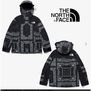 ザノースフェイス(THE NORTH FACE)のThe North Face Novelty Mountain Jacket(マウンテンパーカー)