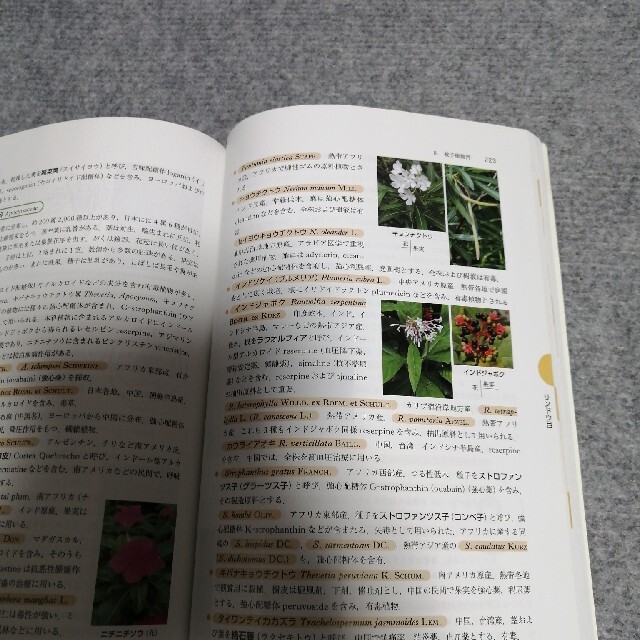 薬用植物学 改訂第７版 エンタメ/ホビーの本(健康/医学)の商品写真