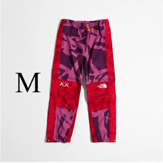 ザノースフェイス(THE NORTH FACE)のThe North Face Kaws Mountain Pants (その他)