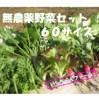 everyhappy様専用　冬野菜の詰め合わせ　７０サイズにて(野菜)