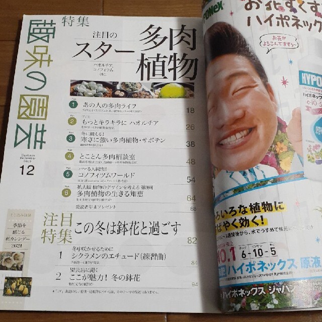 NHK 趣味の園芸 2020年 12月号　NHK出版　育てる!咲かせる!花と緑 エンタメ/ホビーの雑誌(その他)の商品写真