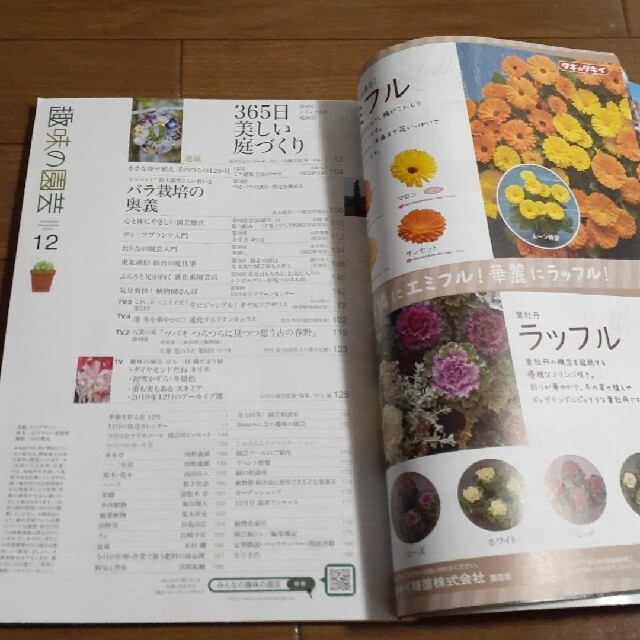 NHK 趣味の園芸 2020年 12月号　NHK出版　育てる!咲かせる!花と緑 エンタメ/ホビーの雑誌(その他)の商品写真