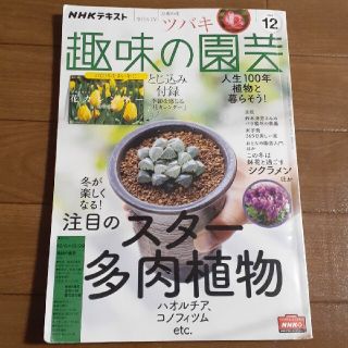 NHK 趣味の園芸 2020年 12月号　NHK出版　育てる!咲かせる!花と緑(その他)