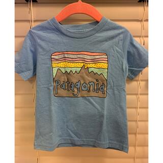 パタゴニア(patagonia)のPatagonia Tシャツ(Tシャツ/カットソー)