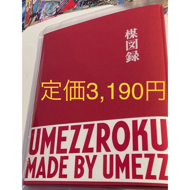 定価3190円うめずろく楳図録 楳図かずお大美術展