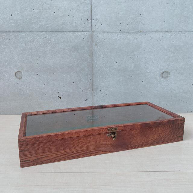 新品 ACMEオリジナルデザインのショーケース 6