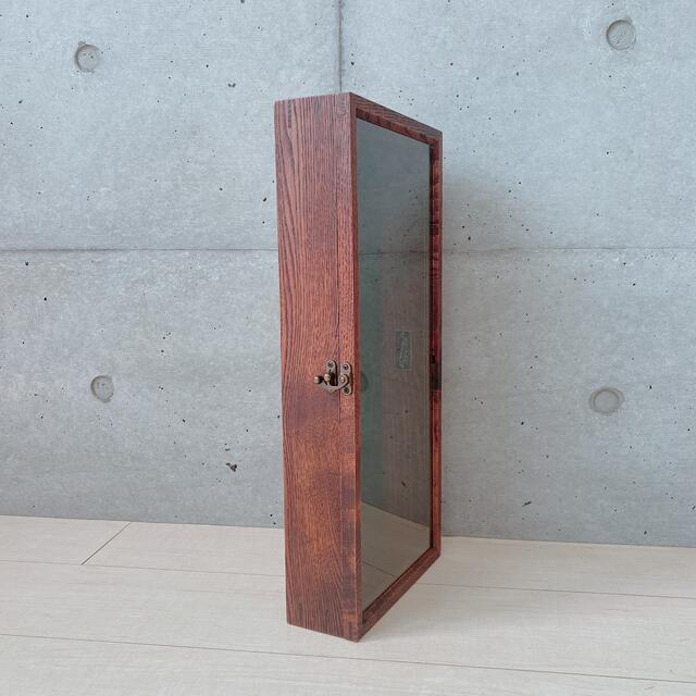 新品 ACMEオリジナルデザインのショーケース 7