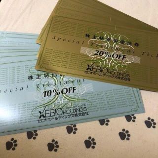 20％2枚　10％4枚　ゼビオ　株主優待券(ショッピング)
