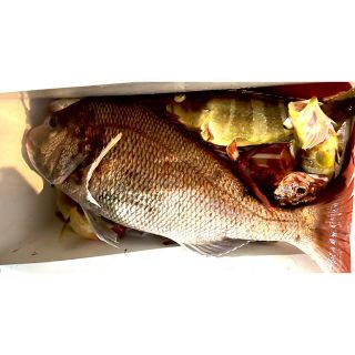 鯛ラバ】魚眼ケイムラ＋オーロラver. タイラバ3本セットの通販 by 釣り ...